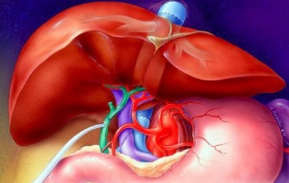 Победих стеатозата, благодарение на капките Хепавитал