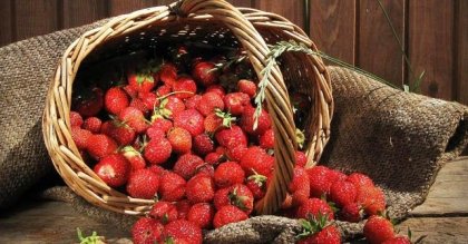 Диета с ягоди - за разнообразие и за по-малко излишни килограми