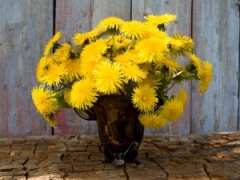 Как да се лекуваме при хепатит с нетрадиционна медицина