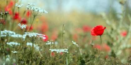 Една жена, болна от рак, ни учи как да се справяме с трудностите!