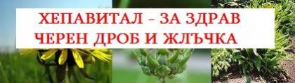 С билките забравих умората и лошото настроение