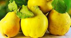 Кой е полезния плод при болести на черния дроб и жлъчката?