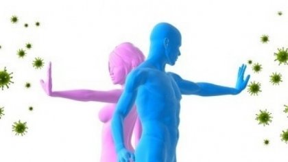 Имунитетът зависи и от здравето на стомаха