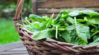 Започнах да се храня само с плодове и зеленчуци, и вече съм добре