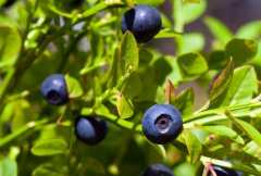 Има едно вкусно спасение от постнаталната депресия