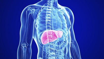 Капките Хепавитал при стеатоза на черния дроб