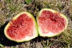 За здрав черен дроб е необходимо здравословно хранене