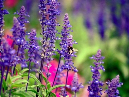 Започнах да приемам капките Хепавитал преди да имам някакъв проблем