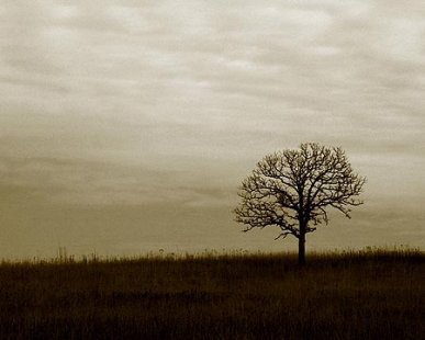 Колкото повече мисля, толкова по-малко ми се иска да живея...