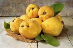 Дюлите са диетични и лековити