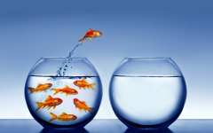 Интровертът - инструкции за употреба