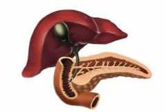 Хидропс на жлъчния мехур