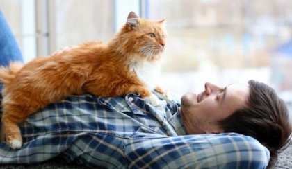 Лекарите уверяват: котките са способни да предпазват от болести