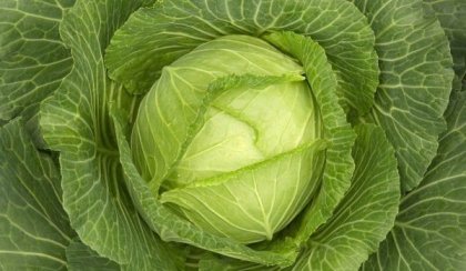 3 класически диети със зеле