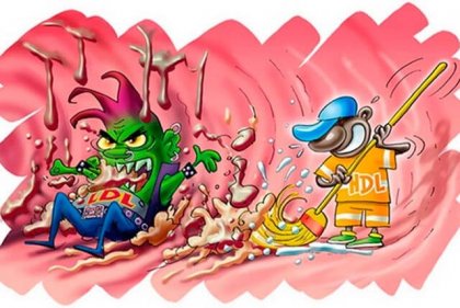 Лекарите разбраха кога "добрия холестерол" се превръща в опасен враг