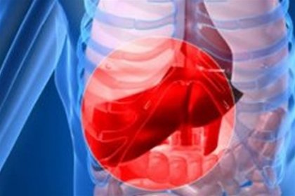 Защо боледува черният дроб?