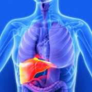 Съвременният живот провокира голяма част от проблемите с черния дроб и жлъчката