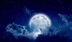 Особености на Лунната диета