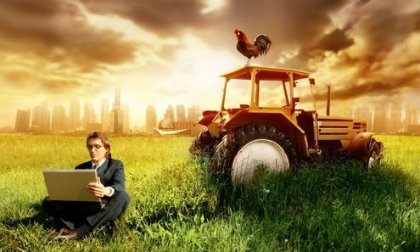 5 важни правила за свободен живот