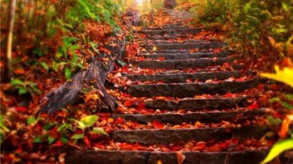 Работата на мозъка зависи от годишното време