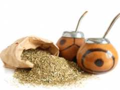 Чай мате – идеален за доброто функциониране на черния дроб