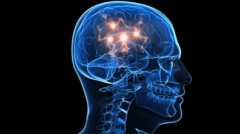 Редовната употреба на алкохол убива мозъка