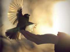 Ново начало и сигурно спокойствие, защото използвам Стресовитал