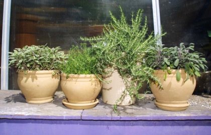 Капките Хепавитал ми помогнаха да се сбогувам с издутия корем