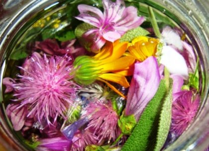 Билките в капките Хепавитал са безценна помощ за черния дроб