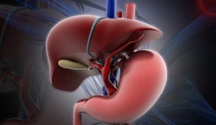 Капките Хепавитал са ценен помощник на черния дроб