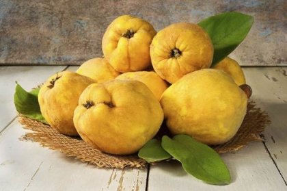 Дюлите са диетични и лековити