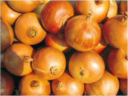 Полезен ли е лукът за черния дроб?