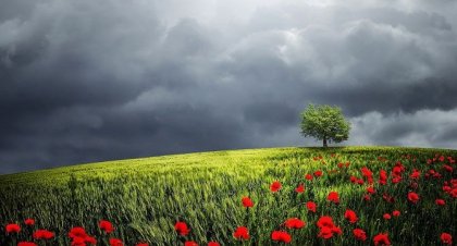 Подгответе детето за трудностите в живота