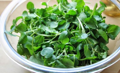 Детоксикацията през пролетта е най-полезна