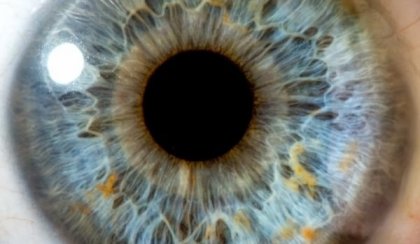 Очите - най-сложно устроеният сетивен орган!