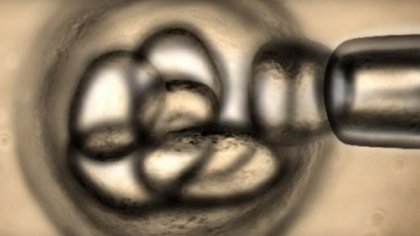 Учени регенерираха увредени тъкани