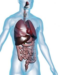 Проблеми с черния дроб изчезват с капките Хепавитал