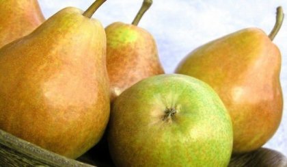 Азиатската круша крие защита от махмурлук
