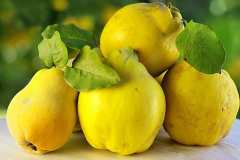 Дюлята - защо е толкова полезна?