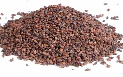 Как да ползвате гроздови семки в полза на здравето?