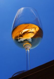 Алкохолът и неговото влияние върху нервната система