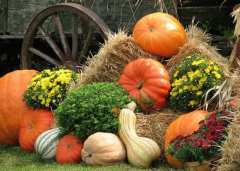 4 есенни храни, полезни за черния дроб