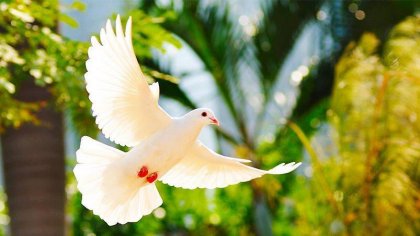 Излекувайте се сами със силата на мисълта