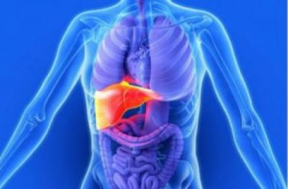 Спортът облекчава чернодробните проблеми