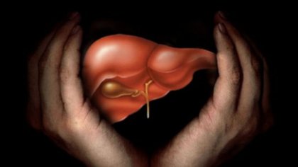 Капките Хепавитал са спасение за хората със стеатоза