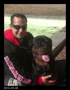 Живот с цироза на черния дроб