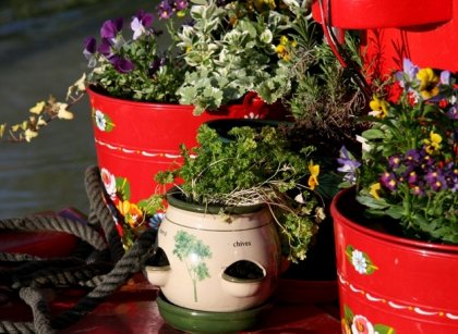 Билково прочистване на черния дроб