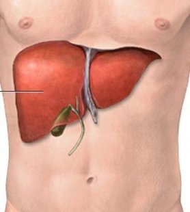 Смъртоносни ли са заболяванията на черния дроб?