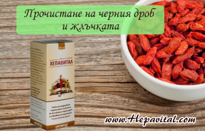 Започнах да прочиствам жлъчката с капките Хепавитал след тежка криза