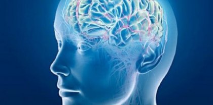 Коя е храна е полезна за мозъка?